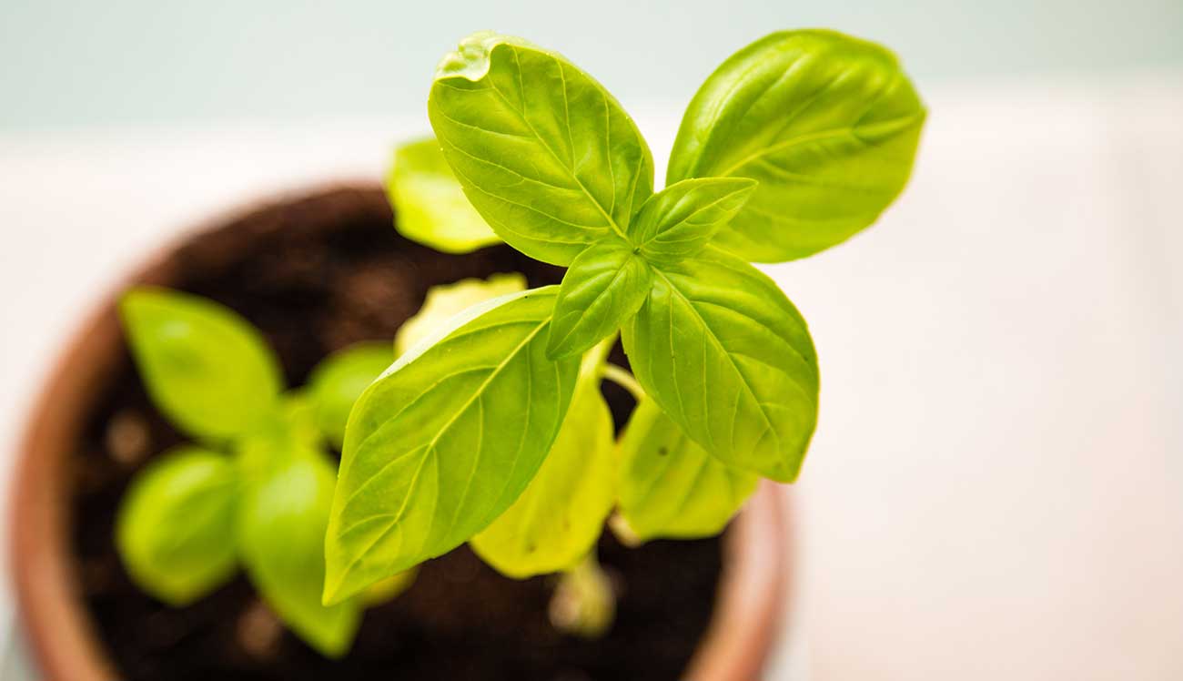 Devenir ce que nous sommes : Thérapeute Coach Bordeaux